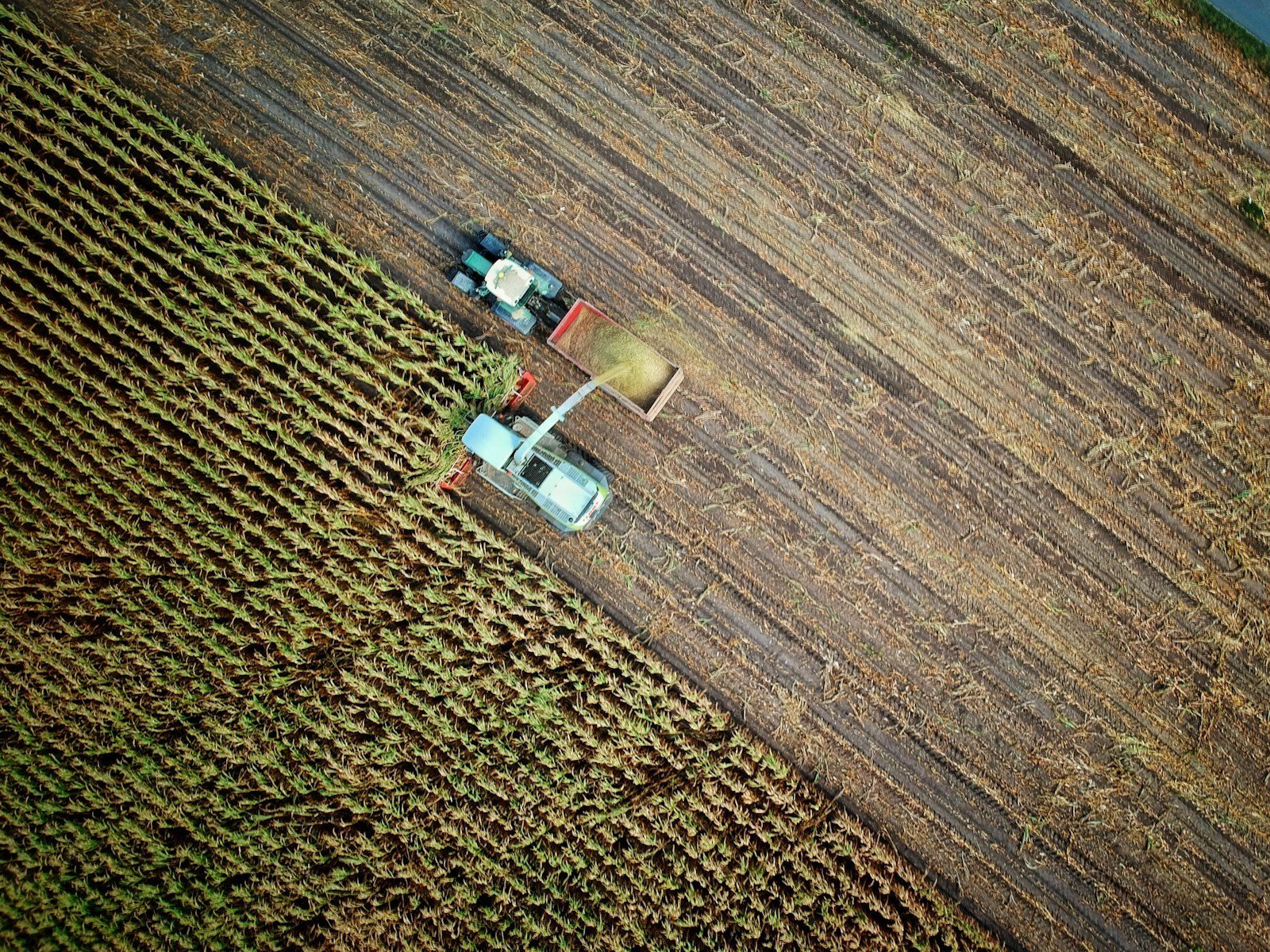 Aerial view of agricultural land